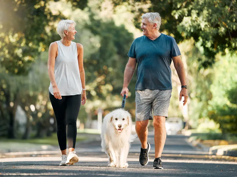 A smiling silver-haired couple walking their golden retriever down a tree-lined street