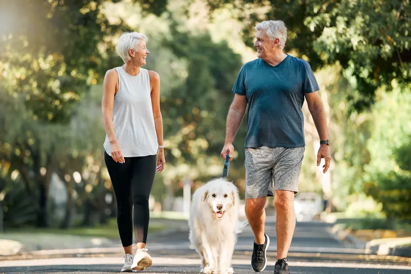 A smiling silver-haired couple walking their dog in a sunny park